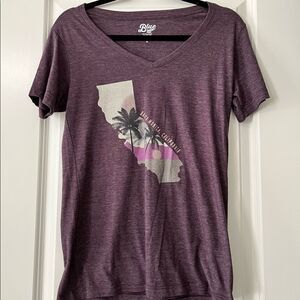 Santa Monica, CA logo V neck short sleeve purple tee shirt. M